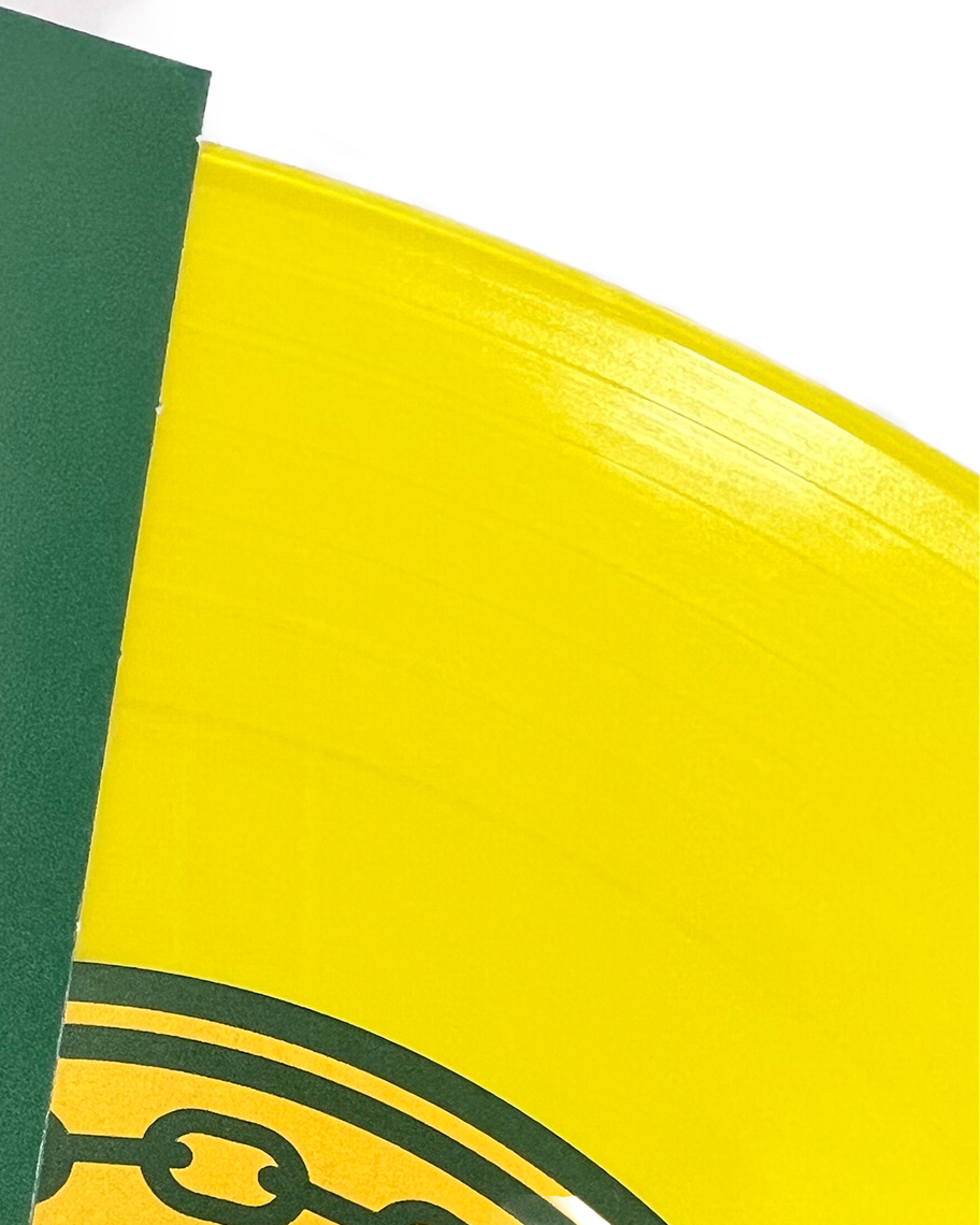 BASSEN I BAGASJEN (VINYL)